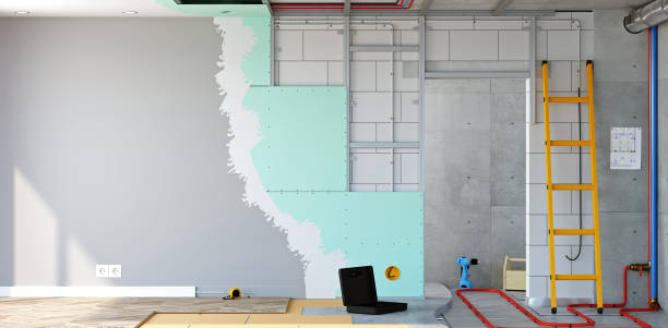Mold Documentation for Insurance Claims in Wilder, KY