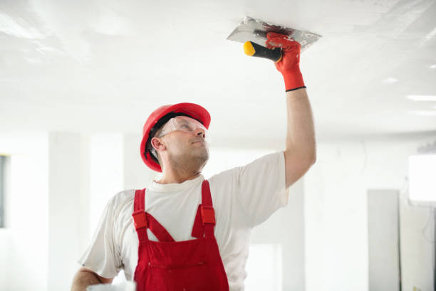 Best Post-Construction Mold Inspection  in Wilder, KY