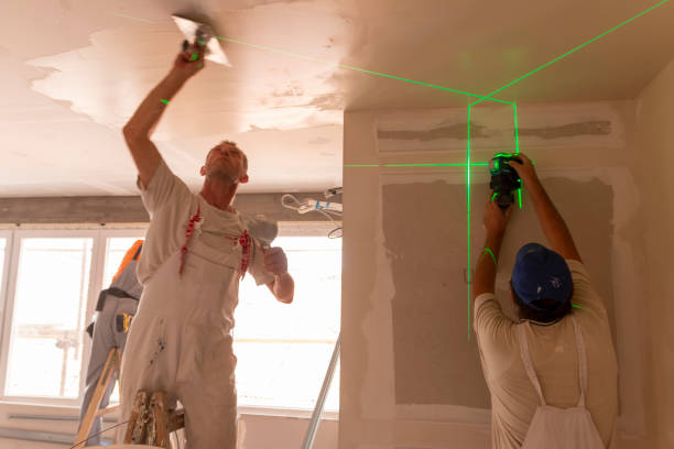  Wilder, KY Mold Removal Pros