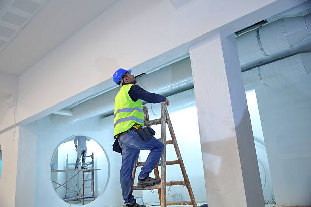 Best Asbestos and Lead Testing During Mold Inspection  in Wilder, KY