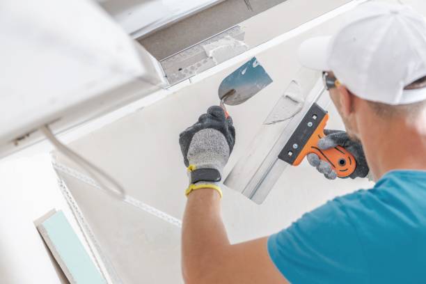 Best Real Estate Mold Inspection  in Wilder, KY